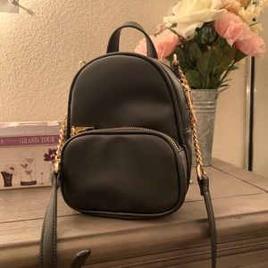 Small bag with gold detailing!